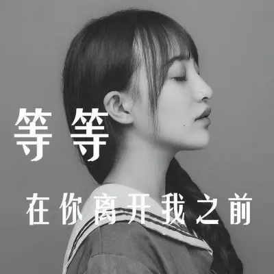 在你离开我之前封面