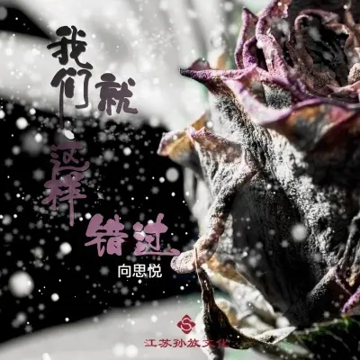 我们就这样错过 (完整版)封面