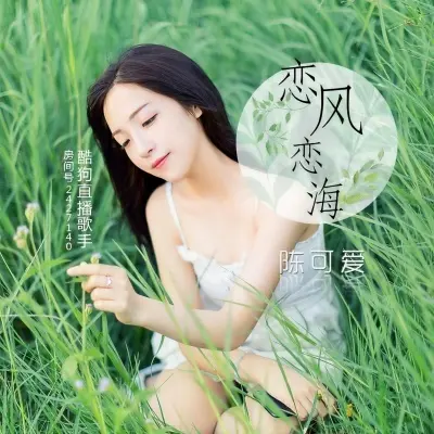 恋风恋海封面