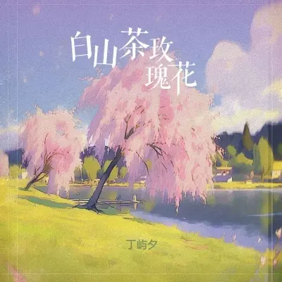 白山茶玫瑰花封面