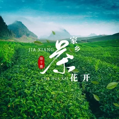 家乡茶花开封面