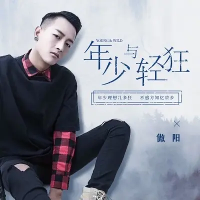 年少与轻狂封面