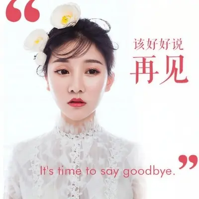 该好好说再见封面