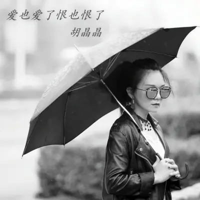 爱也爱了恨也恨了 - 胡晶晶封面