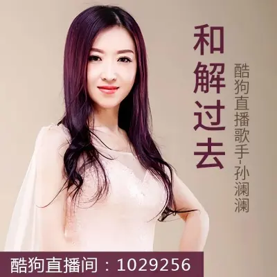 和解过去封面