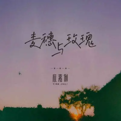 麦穗与玫瑰 - 应嘉俐封面