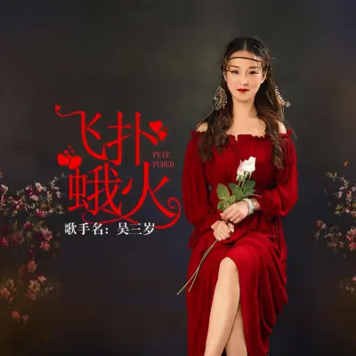 飞蛾扑火封面