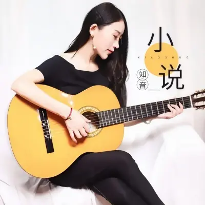 小说 - 知音封面