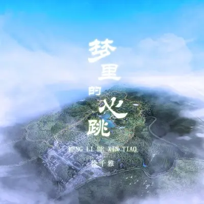 梦里的心跳封面
