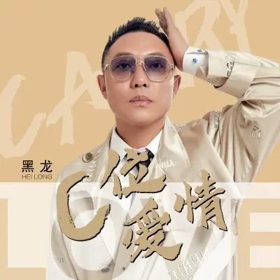 C位爱情 - 黑龙封面