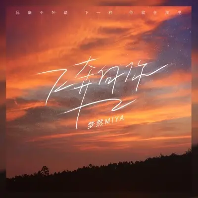 飞奔向你 - 梦然封面