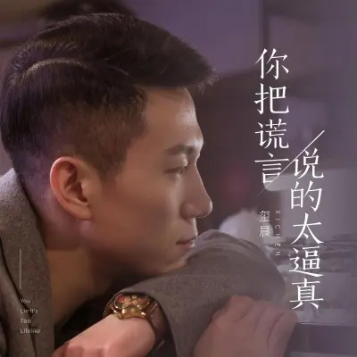 你把谎言说的太逼真封面