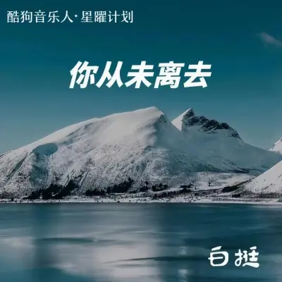 你从未离去 (2022新版)封面