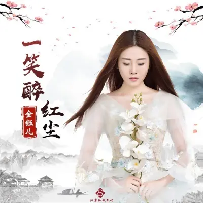 一笑醉红尘 (DJ版)封面