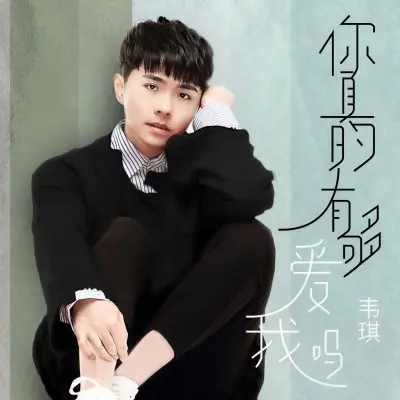 你真的有够爱我吗封面