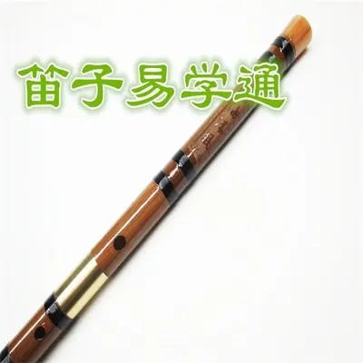 练习曲（专辑：笛子易学通）封面
