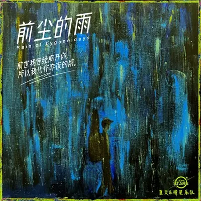 前尘的雨封面