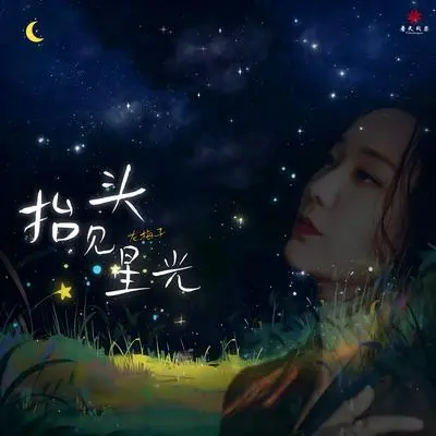 抬头见星光（伴奏）封面