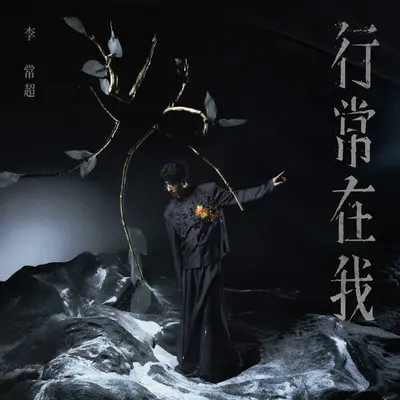 照影 - 李常超 (Lao乾妈)封面