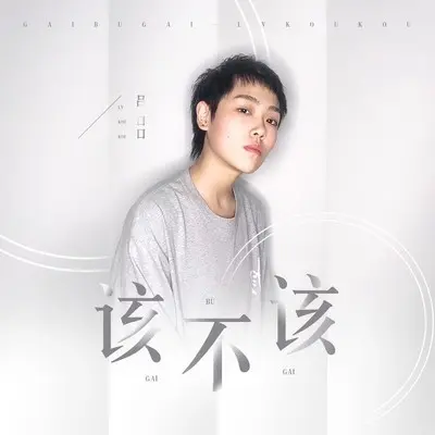 该不该(DJ阿诺版)(DJ阿诺版) - 吕口口 / DJ阿诺封面
