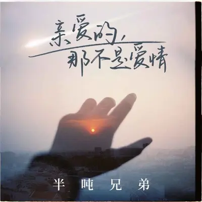 亲爱的，那不是爱情(DJ九零版)(DJ九零版)封面