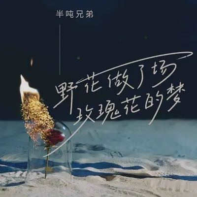野花做了场玫瑰花的梦 (DJ默涵版) - 半吨兄弟封面