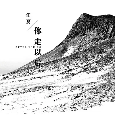 你走以后封面