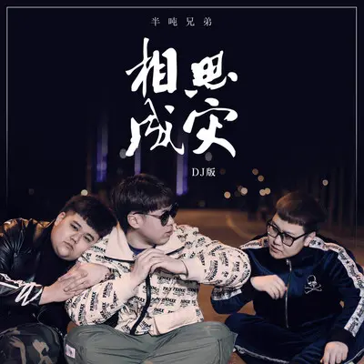 相思成灾 (DJ版)封面