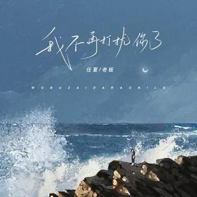 我不再打扰你了(DJEva版)封面