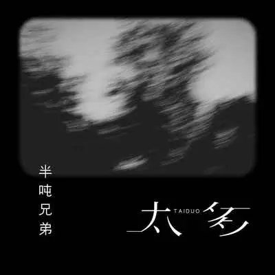 太多 (DJ久乐版)封面