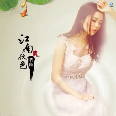 江南夜色(DJ九零版) - 程响封面