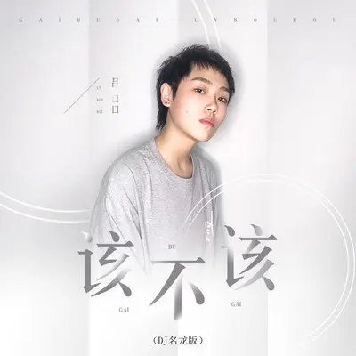 该不该（DJ名龙版） - 吕口口封面