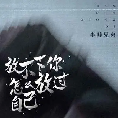 放不下你怎么放过自己 (DJ默涵版) - 半吨兄弟封面