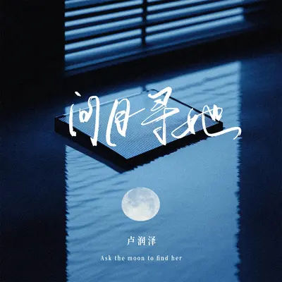 问月寻她封面