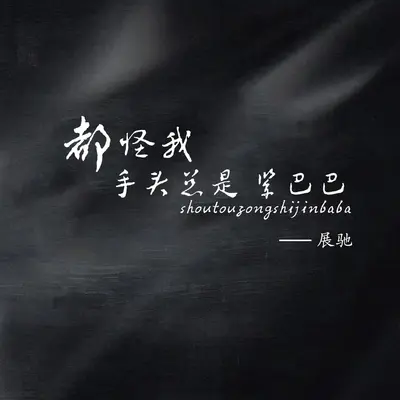 都怪我手头总是紧巴巴封面