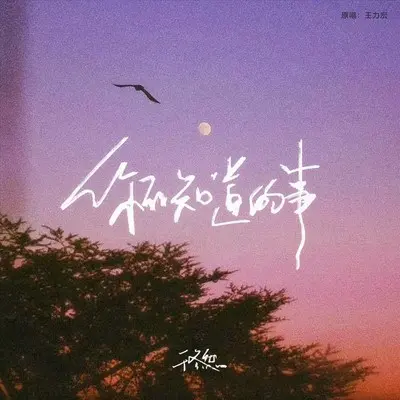 你不知道的事封面