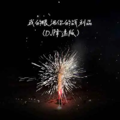 我的眼泪你的战利品(DJ降速版)(DJ降速版) - 于冬然封面