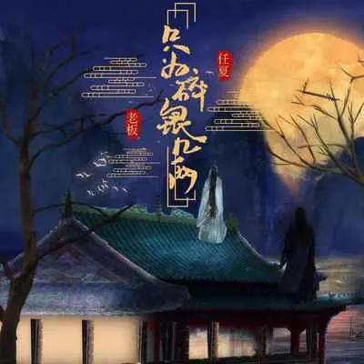 只为碎银几两(合唱版)封面