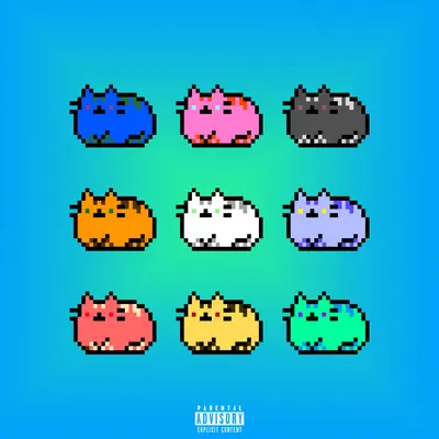 废墟猫 - 杨玫封面