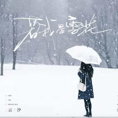 若我是雪花封面