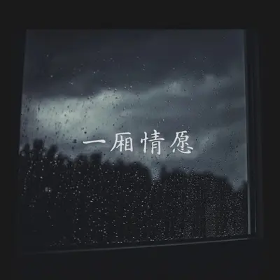一厢情愿封面