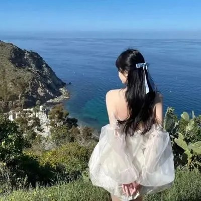 走着走着就散了(网络剧《双世宠妃》插曲)封面