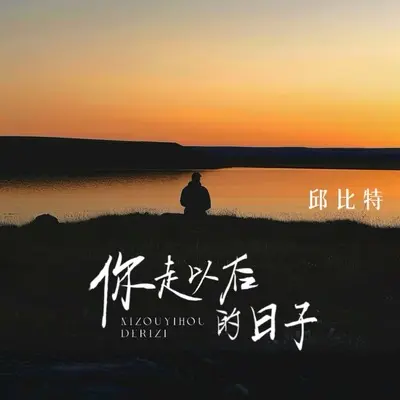 你走以后的日子封面