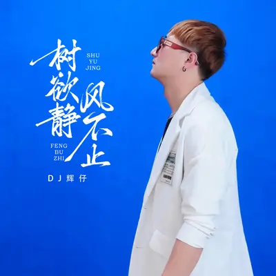 树欲静 风不止封面