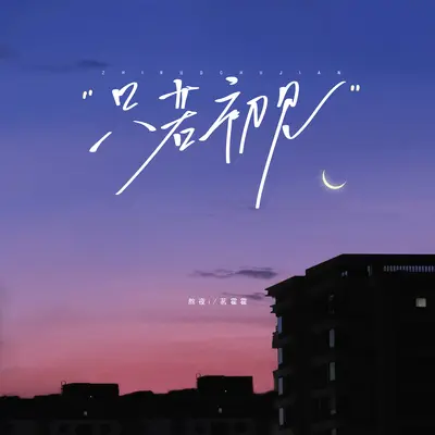 只若初见(释怀版)封面