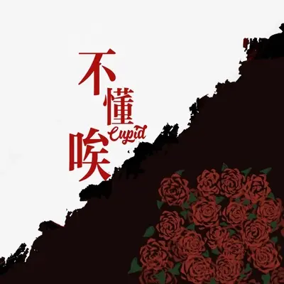 不懂唉封面