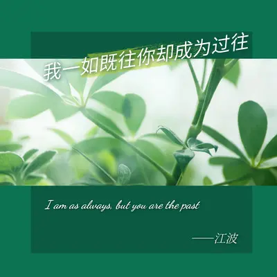 我一如既往你却成为过往封面
