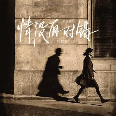 情没有对错(女版)封面