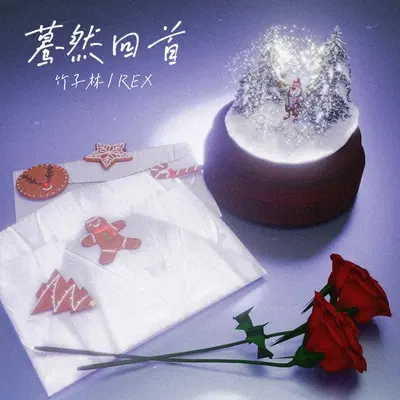 蓦然回首封面
