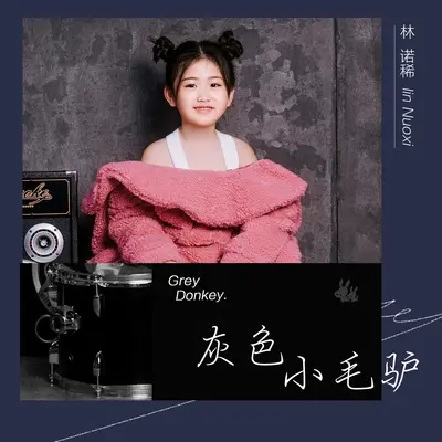 灰色小毛驴(伴奏)封面